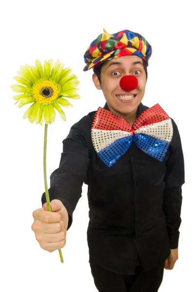 Lustiger Clown mit Blumen isoliert auf weiß — Stockfoto