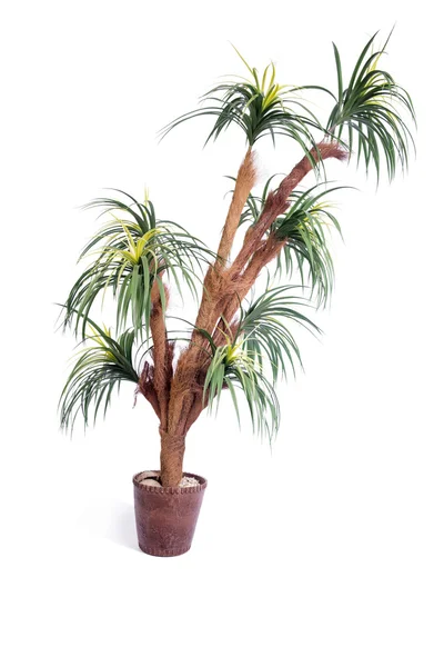 Konstgjorda palm tree isolerad på vit bakgrund — Stockfoto