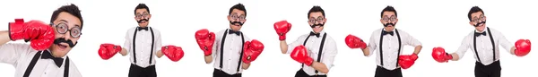 Lustige Boxer isoliert auf weißem Hintergrund — Stockfoto