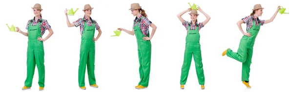 Collage of woman watering plants isolated on white — Stock Photo, Image