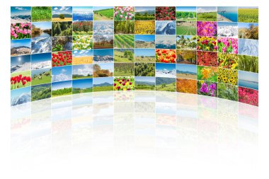 Collage of many nature photos clipart