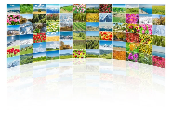 Collage de muchas fotos de la naturaleza — Foto de Stock