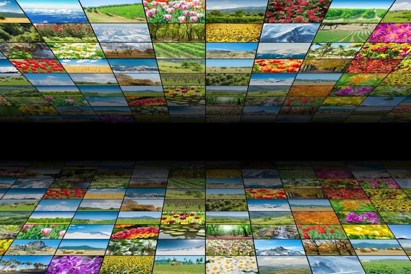 Collage aus vielen Naturfotos — Stockfoto