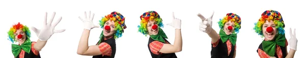 Vrouwelijke clown geïsoleerd op wit — Stockfoto