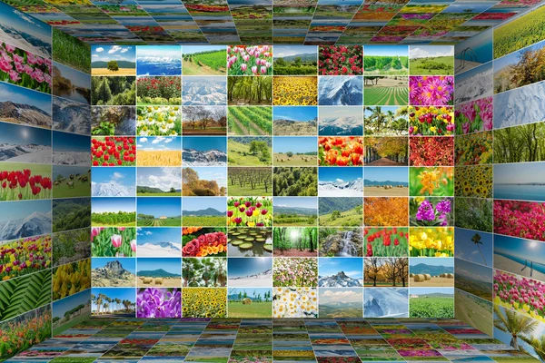 Collage de nombreuses photos de la nature — Photo