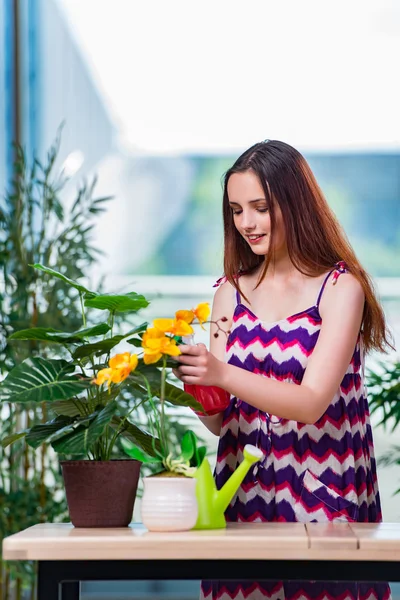 Young woman taking care of home plants — Stock Photo, Image