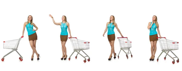 Foto composta de mulher com cesta de compras — Fotografia de Stock