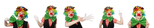 Vrouwelijke clown geïsoleerd op wit — Stockfoto