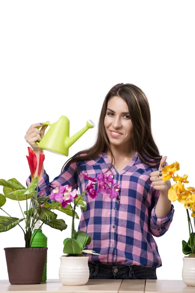 Jeune femme prenant soin des plantes à la maison — Photo