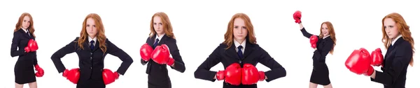 白い上にボクシングの手袋と女性のビジネス女性のコラージュ — ストック写真