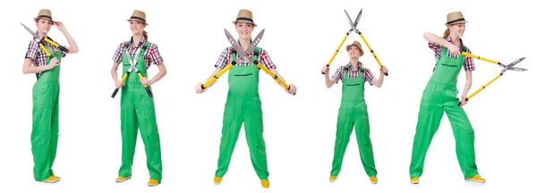 Young woman with shears on white — Stock Photo, Image