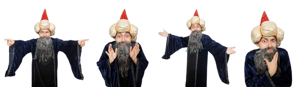 Funny wise wizard isolated on the white — Stock Photo, Image