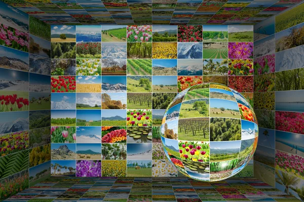 Collection of nature photos in collage concept — Stock Photo, Image