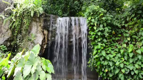 Маленькие водопады в парке — стоковое видео