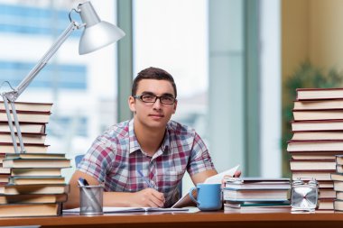 Üniversite sınavlarına hazırlanan genç bir öğrenci.