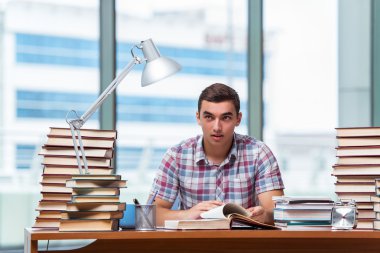 Üniversite sınavlarına hazırlanan genç bir öğrenci.