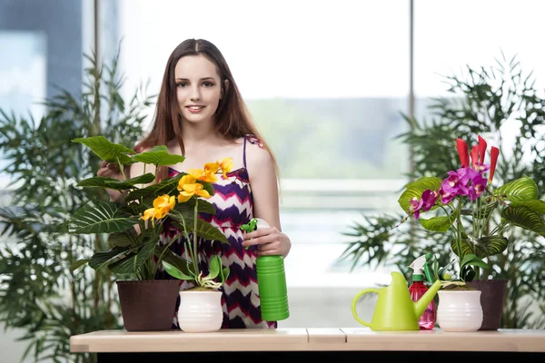 若い女性の家の植物の世話 — ストック写真