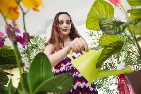 Mujer joven cuidando de las plantas del hogar — Foto de Stock