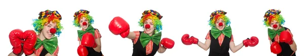 Clown in verschiedenen Posen isoliert auf Weiß — Stockfoto