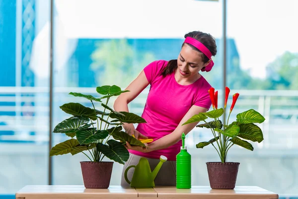 Jeune femme prenant soin des plantes à la maison — Photo