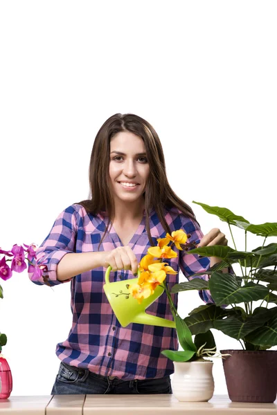 Jovem mulher cuidando de plantas de casa — Fotografia de Stock