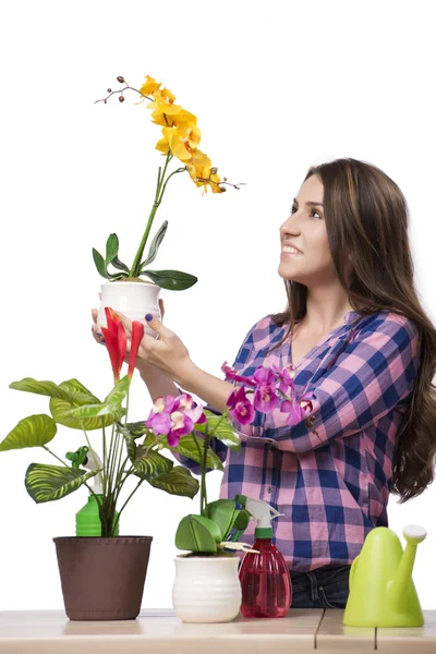 Giovane donna che si prende cura di piante domestiche — Foto Stock