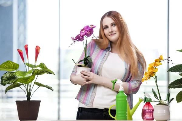 Молода жінка піклується про домашні рослини — стокове фото