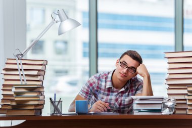 Üniversite sınavlarına hazırlanan genç bir öğrenci.