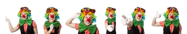 Vrouwelijke clown geïsoleerd op wit — Stockfoto