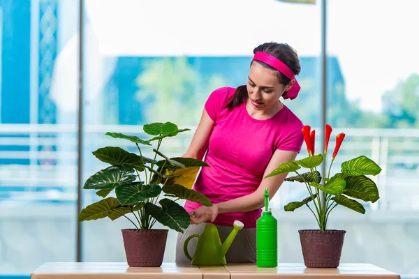 Молодая женщина заботится о домашних растениях — стоковое фото
