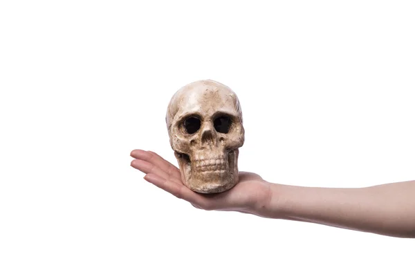 Hand holding skull isolated on white — Stock Photo, Image