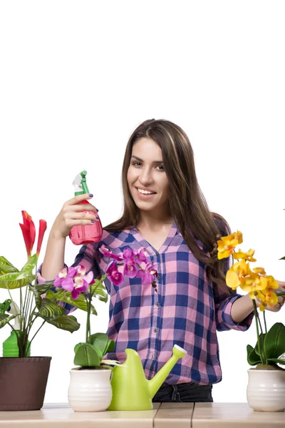 Jovem mulher cuidando de plantas de casa — Fotografia de Stock