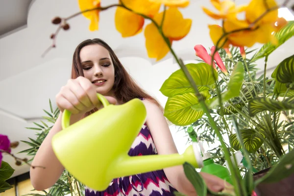 Mujer joven cuidando de las plantas del hogar — Foto de Stock