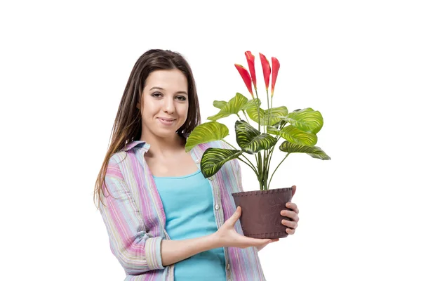 Mladá žena, péče o rostliny izolované na bílém — Stock fotografie