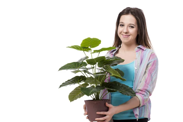 Jovem mulher cuidando de plantas isoladas em branco — Fotografia de Stock