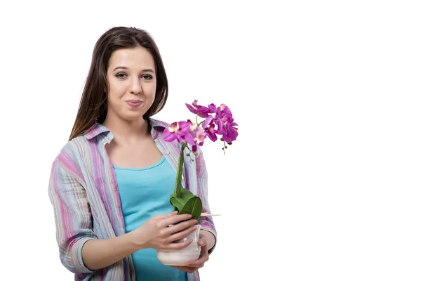 Jonge vrouw met het verzorgen van planten geïsoleerd op wit — Stockfoto