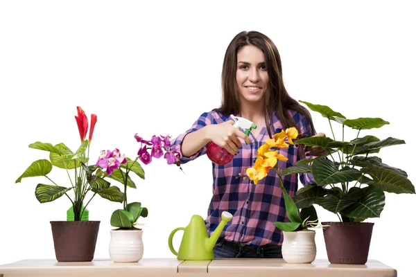 Jovem mulher cuidando de plantas de casa — Fotografia de Stock