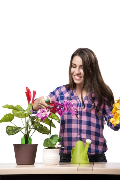 Jovem mulher cuidando de plantas de casa — Fotografia de Stock