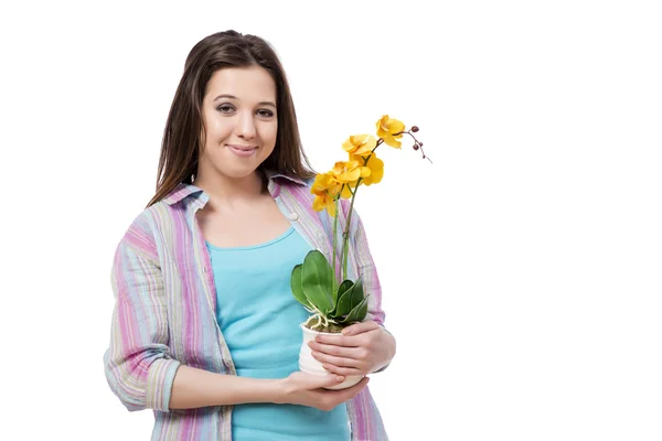 Jovem mulher cuidando de plantas isoladas em branco — Fotografia de Stock