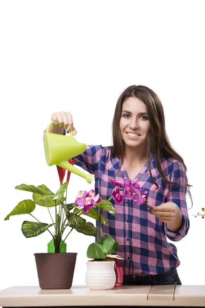 Молода жінка піклується про домашні рослини — стокове фото