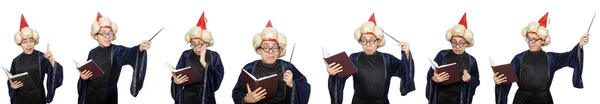 Funny wise wizard isolated on the white — Stock Photo, Image