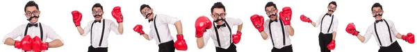 Lustige Boxer isoliert auf weißem Hintergrund — Stockfoto