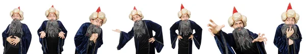 Funny wise wizard isolated on the white — Stock Photo, Image