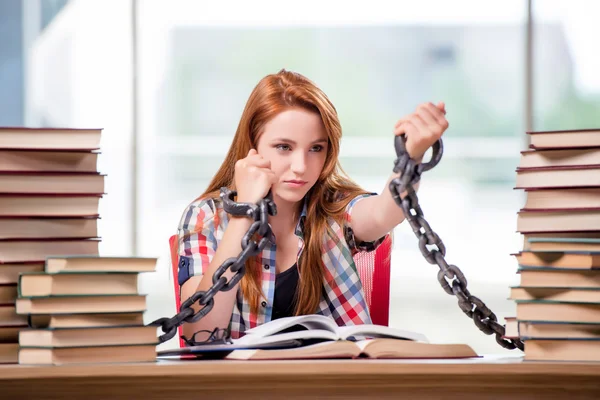 Jovem estudante se preparando para exames — Fotografia de Stock