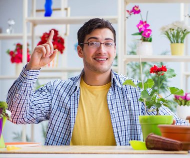 Çiçekçide çalışan genç bir adam.