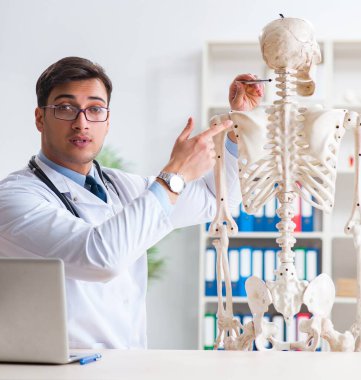 İskeleti beyaz olan Yong erkek doktoru.