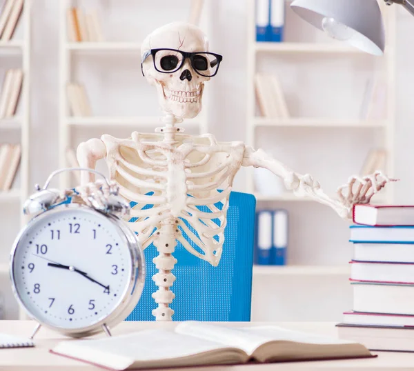 Student skeleton preparing for exams — Stock Photo, Image