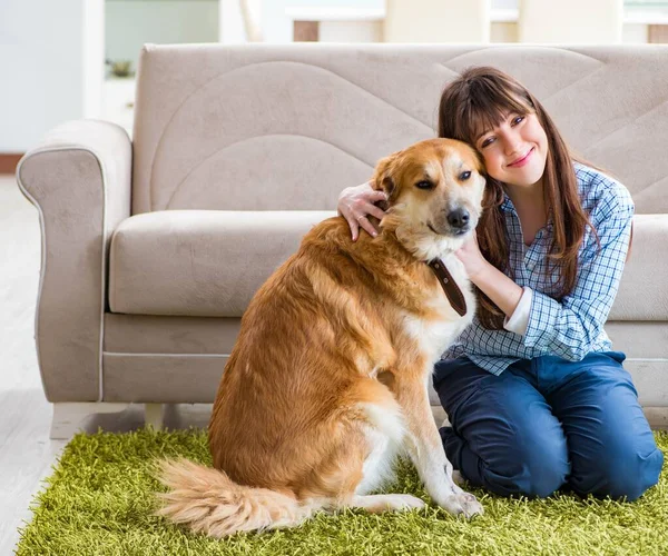 Lycklig kvinna hund ägare hemma med golden retriever — Stockfoto