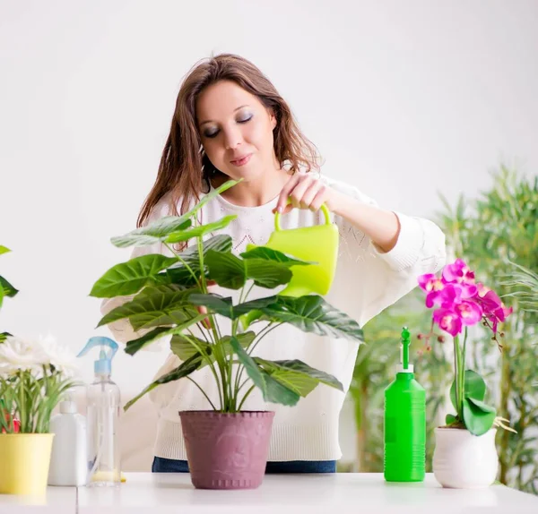 Jonge vrouw op zoek naar planten thuis — Stockfoto