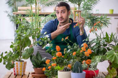 Evin içinde bitkileri olan genç bir erkek bahçıvan.